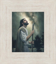 Load image into Gallery viewer, In Awe of His Creations
