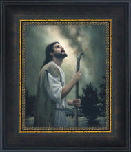 Load image into Gallery viewer, In Awe of His Creations
