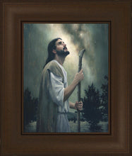 Load image into Gallery viewer, In Awe of His Creations
