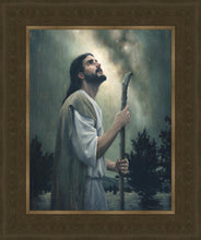 Load image into Gallery viewer, In Awe of His Creations
