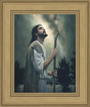 Load image into Gallery viewer, In Awe of His Creations

