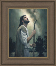 Load image into Gallery viewer, In Awe of His Creations
