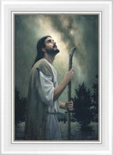 Load image into Gallery viewer, In Awe of His Creations
