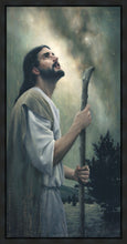 Load image into Gallery viewer, In Awe of His Creations

