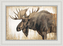 Load image into Gallery viewer, Majesty
