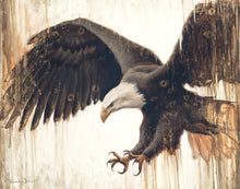 Load image into Gallery viewer, Liberty

