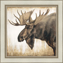 Load image into Gallery viewer, Majesty
