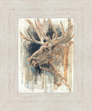 Load image into Gallery viewer, Shades of Nature
