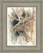 Load image into Gallery viewer, Shades of Nature
