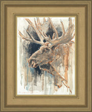 Load image into Gallery viewer, Shades of Nature
