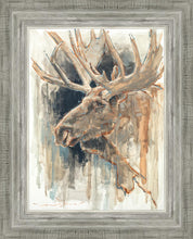 Load image into Gallery viewer, Shades of Nature
