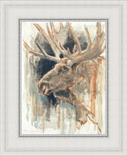 Load image into Gallery viewer, Shades of Nature
