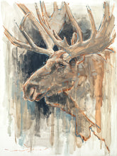 Load image into Gallery viewer, Shades of Nature Gallery Wrap
