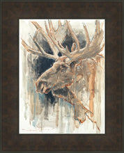 Load image into Gallery viewer, Shades of Nature
