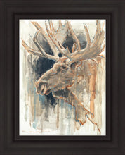 Load image into Gallery viewer, Shades of Nature
