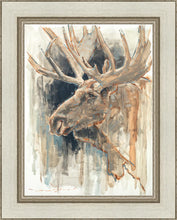 Load image into Gallery viewer, Shades of Nature

