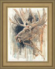 Load image into Gallery viewer, Shades of Nature
