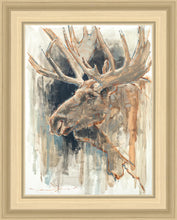 Load image into Gallery viewer, Shades of Nature
