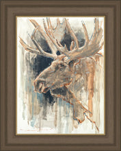 Load image into Gallery viewer, Shades of Nature
