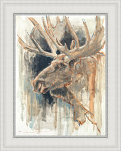 Load image into Gallery viewer, Shades of Nature
