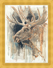 Load image into Gallery viewer, Shades of Nature
