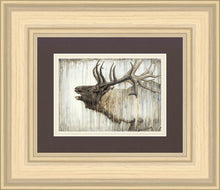 Load image into Gallery viewer, Nature's Art
