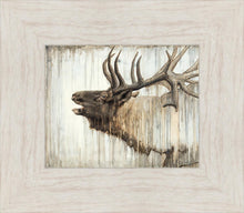Load image into Gallery viewer, Nature's Art
