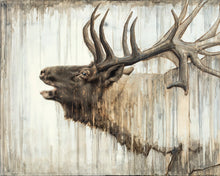 Load image into Gallery viewer, Nature's Art
