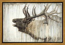 Load image into Gallery viewer, Nature's Art Gallery Wrap
