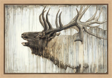 Load image into Gallery viewer, Nature's Art Gallery Wrap
