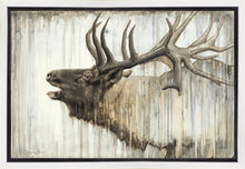 Load image into Gallery viewer, Nature's Art Gallery Wrap
