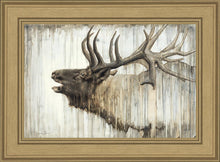 Load image into Gallery viewer, Nature's Art
