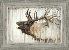 Load image into Gallery viewer, Nature's Art
