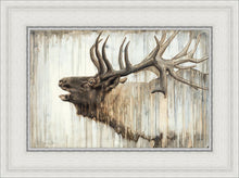 Load image into Gallery viewer, Nature's Art
