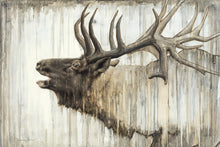 Load image into Gallery viewer, Nature's Art Gallery Wrap
