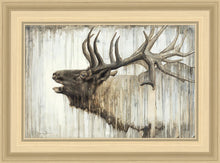 Load image into Gallery viewer, Nature's Art
