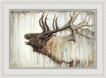 Load image into Gallery viewer, Nature's Art
