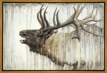 Load image into Gallery viewer, Nature's Art Gallery Wrap
