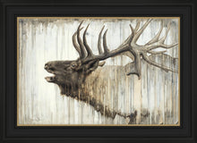 Load image into Gallery viewer, Nature's Art
