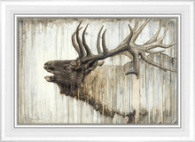 Load image into Gallery viewer, Nature's Art
