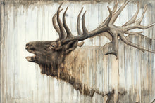 Load image into Gallery viewer, Nature's Art
