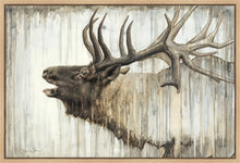 Load image into Gallery viewer, Nature's Art Gallery Wrap

