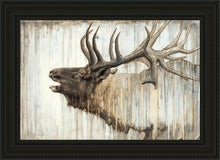Load image into Gallery viewer, Nature's Art
