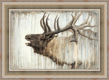 Load image into Gallery viewer, Nature's Art
