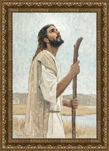Load image into Gallery viewer, Our Shepherd

