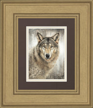 Load image into Gallery viewer, Untamed Eyes Gallery Wrap
