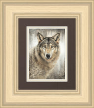 Load image into Gallery viewer, Untamed Eyes Gallery Wrap
