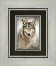 Load image into Gallery viewer, Untamed Eyes Gallery Wrap
