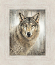 Load image into Gallery viewer, Untamed Eyes
