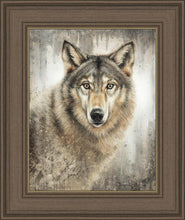 Load image into Gallery viewer, Untamed Eyes
